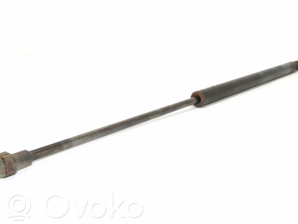 Tailgate/trunk strut/damper