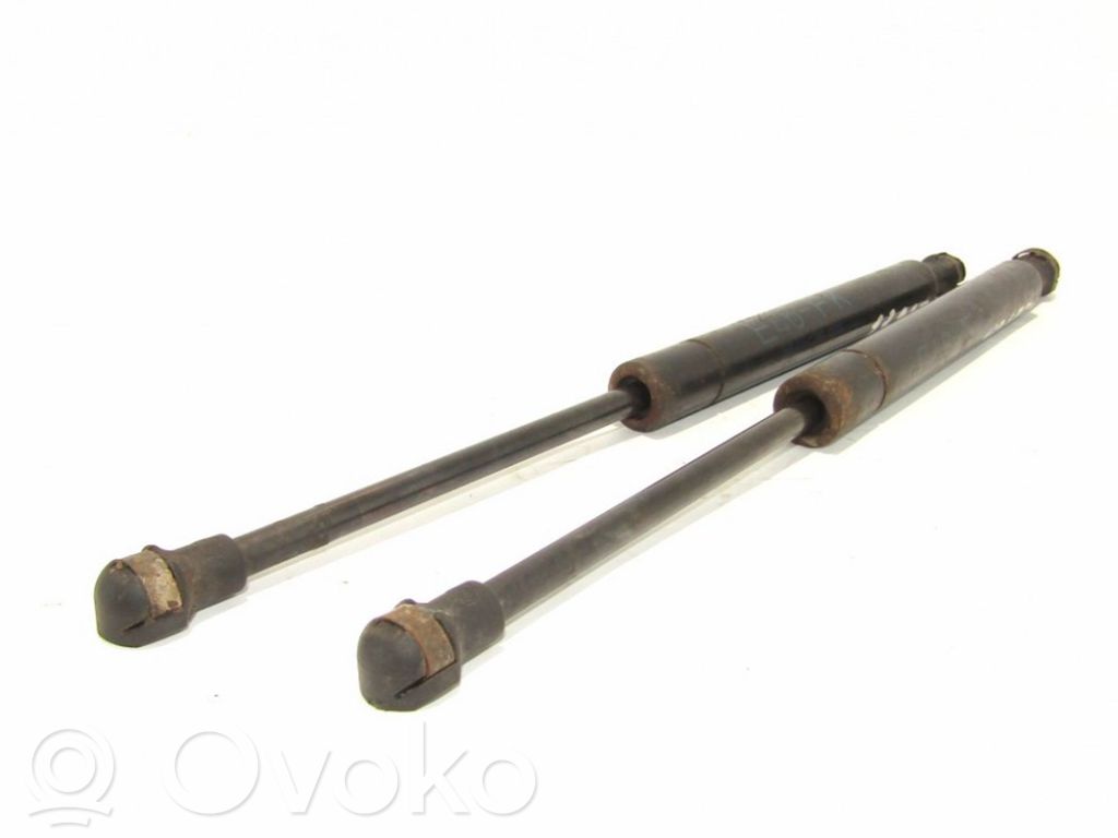 Amortizatorius variklio dangčio   9879IX0580N