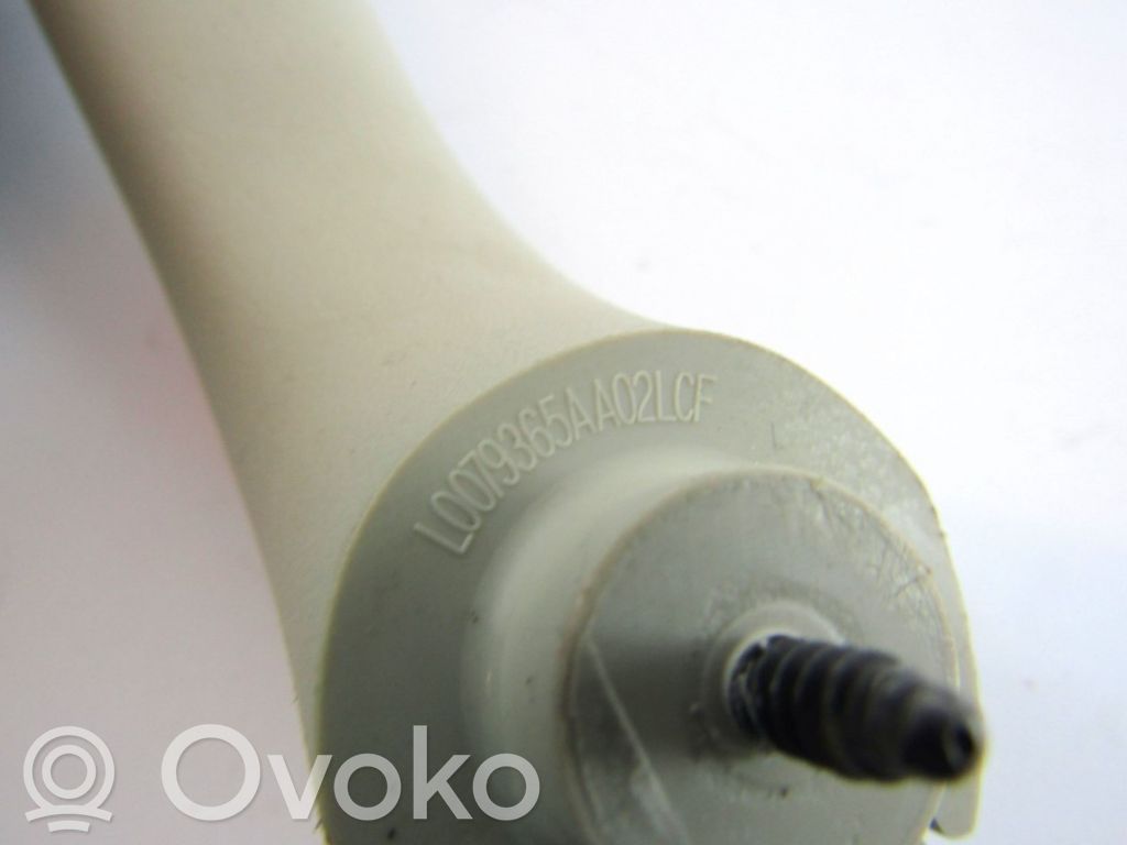 Asidero interior delantero   L0079365AA02LCF