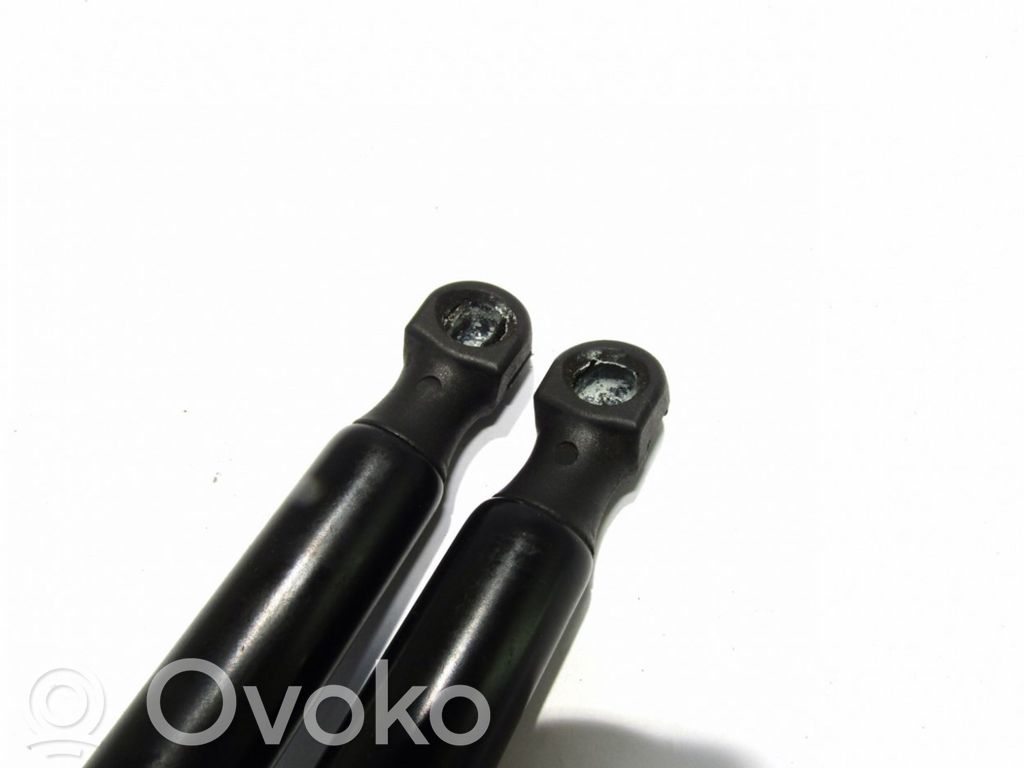 Fiat 500L Tailgate/trunk strut/damper 