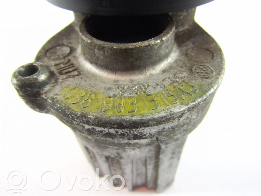 Audi A3 S3 8P Napinacz paska alternatora 
