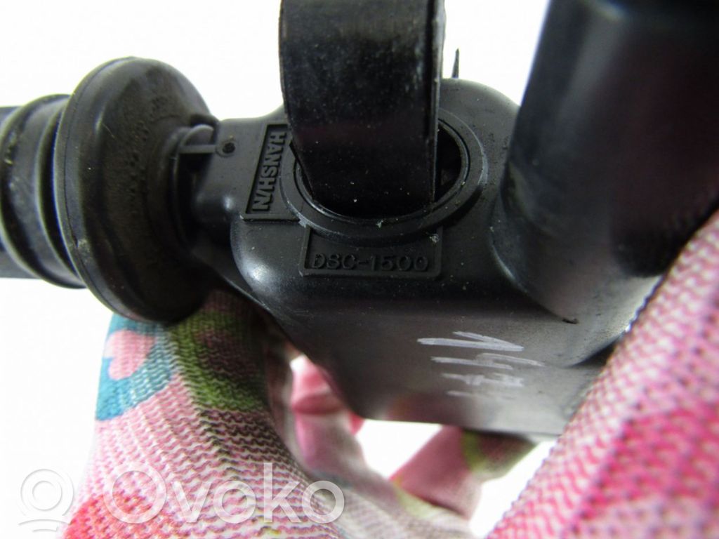 Aukštos įtampos ritė "babyna"   DSC1500