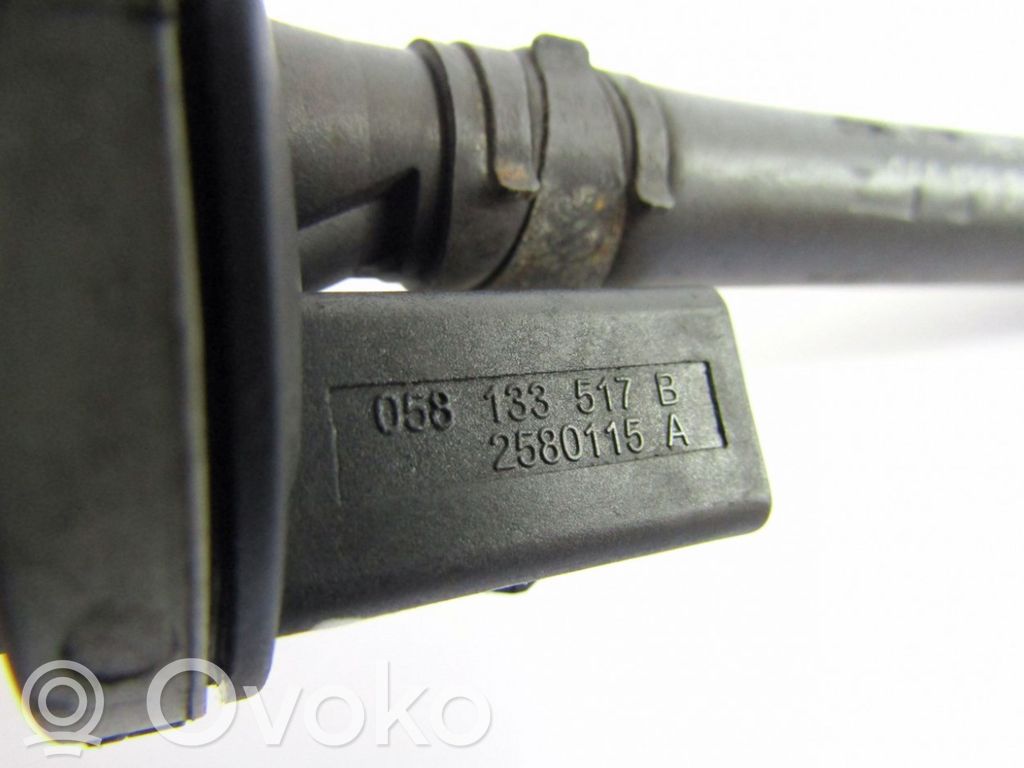 Vacuum valve   058133517B,2580115A