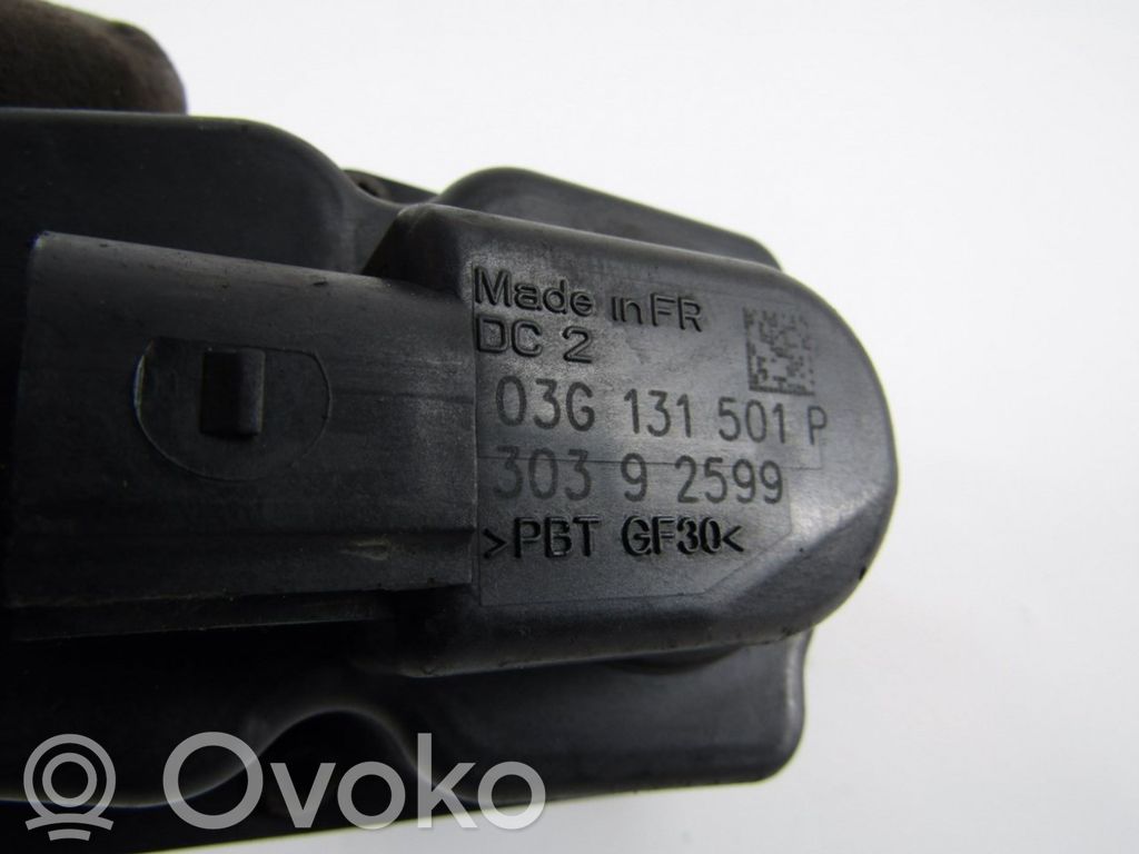 EGR-venttiili   03G131501P,30392599