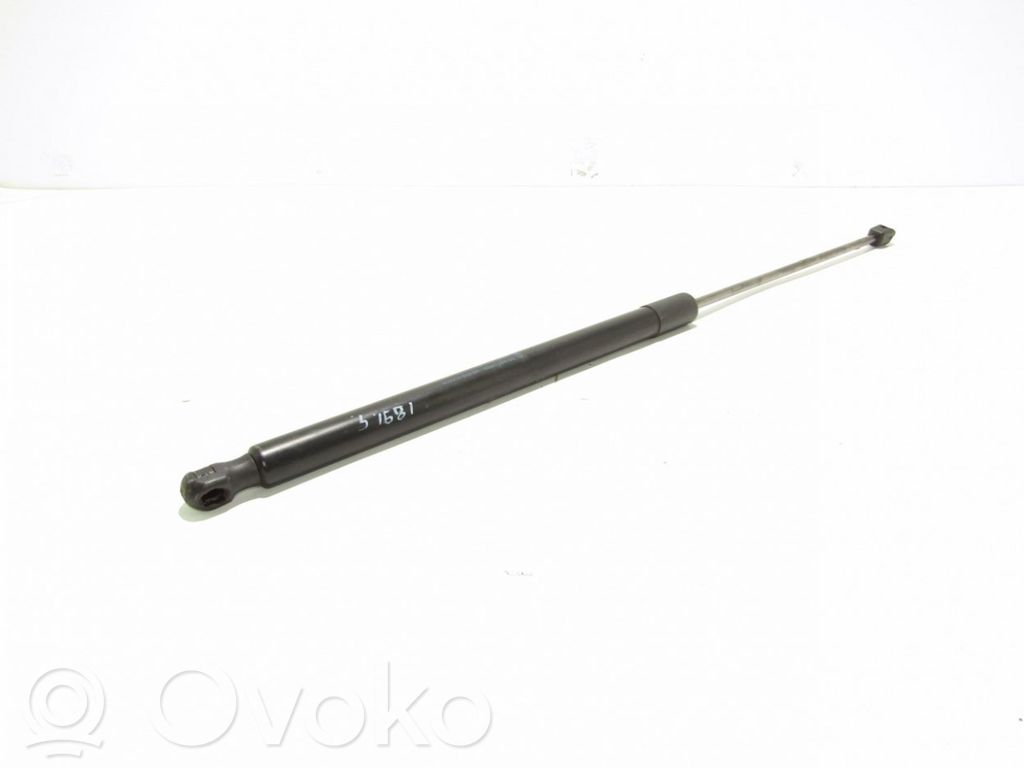 Tailgate/trunk strut/damper   8V41S406A10AF