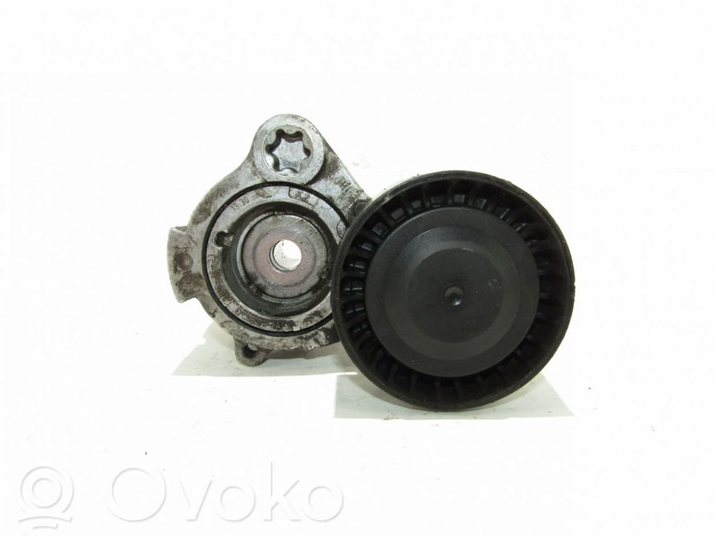 Opel Antara Tendicinghia dell’alternatore