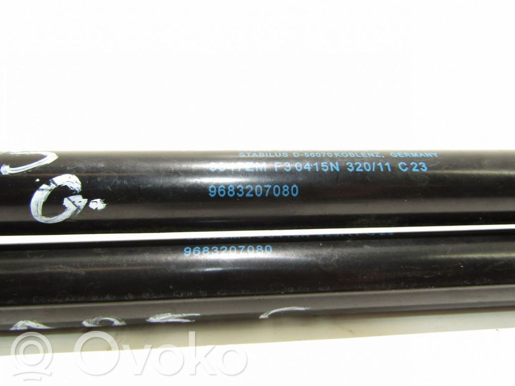 Peugeot 3008 I Ammortizzatore portellone posteriore/bagagliaio