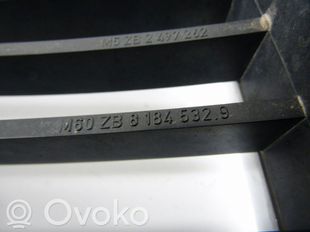 BMW 5 E39 Front grill 