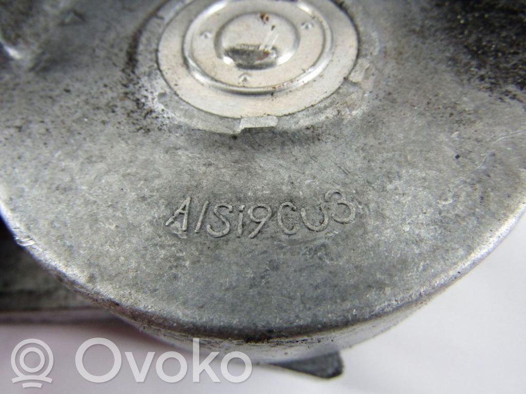 Volkswagen PASSAT B6 Tensor de la correa del alternador 