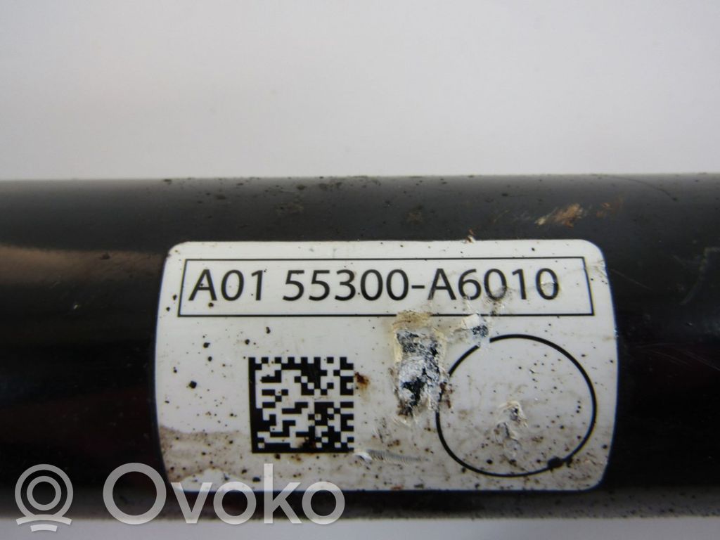 Amortiguador trasero   55300A6010