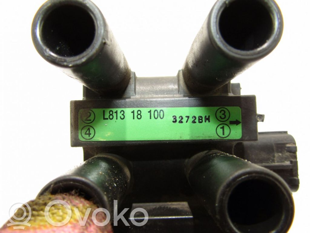 Suurjännitesytytyskela   L81318100