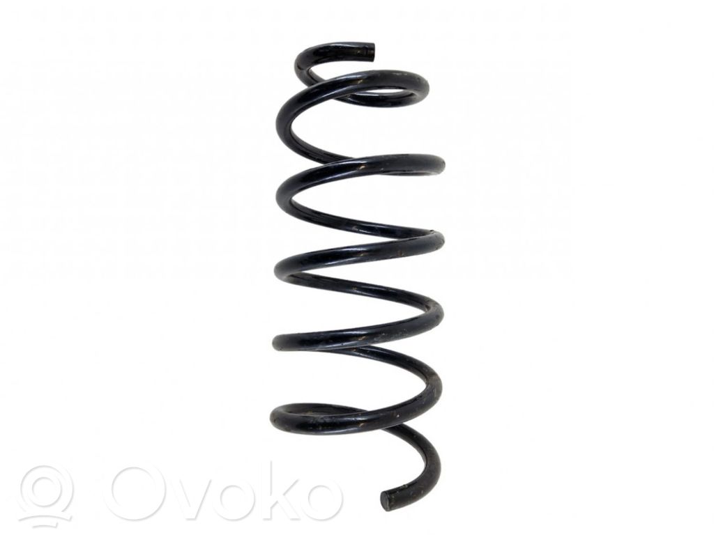 Front coil spring