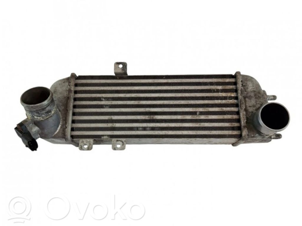 Radiatore di raffreddamento   282712A610