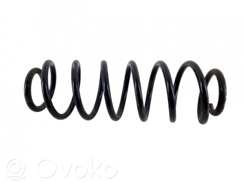 Rear coil spring