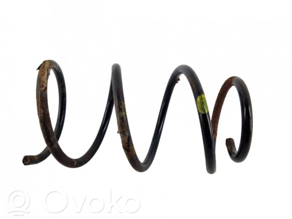 Front coil spring