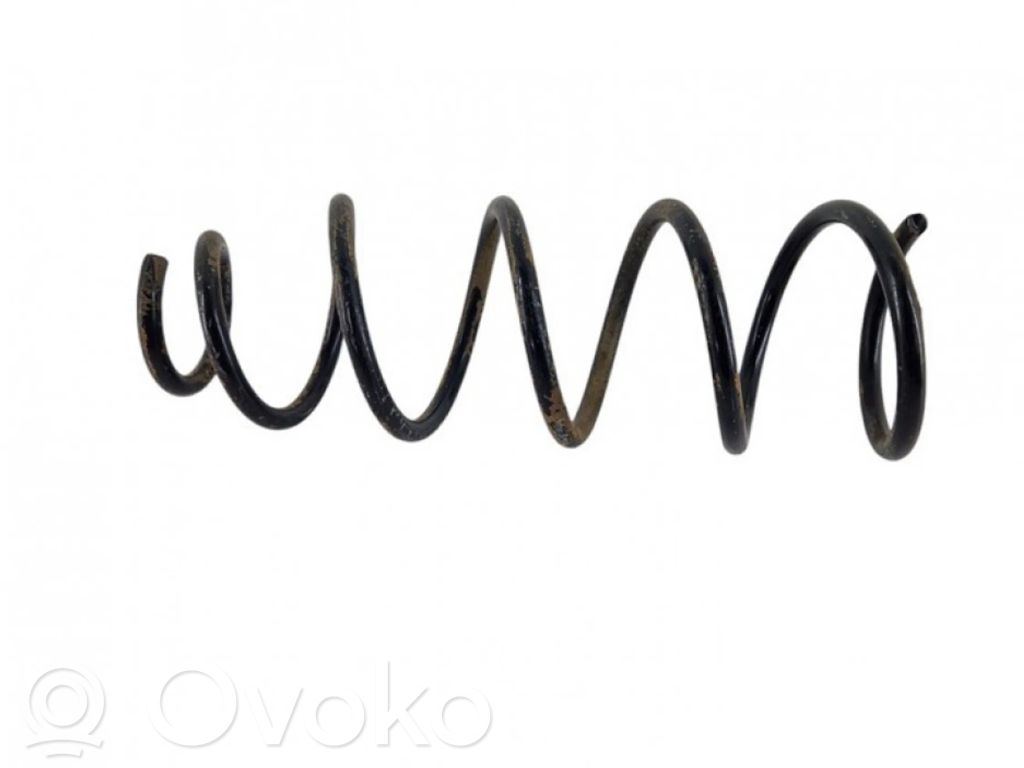Rear coil spring
