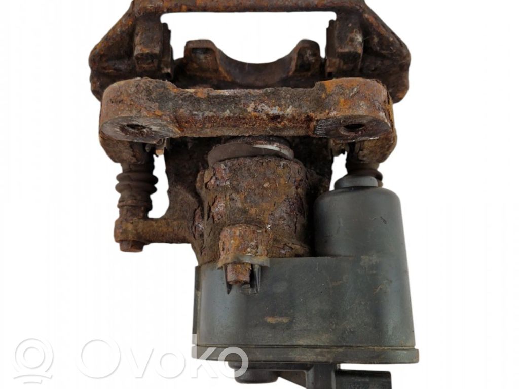 Takajarrusatula   32355158A