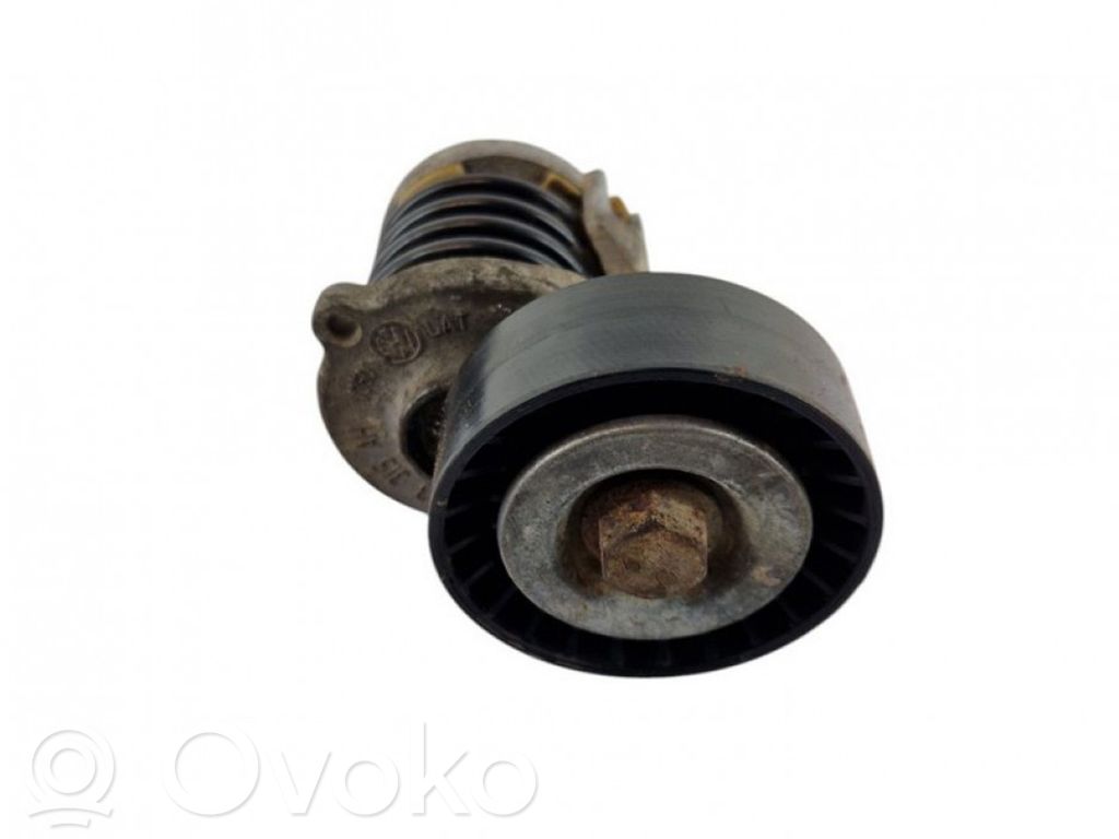 Volkswagen Transporter - Caravelle T5 Întinzător curea alternator 