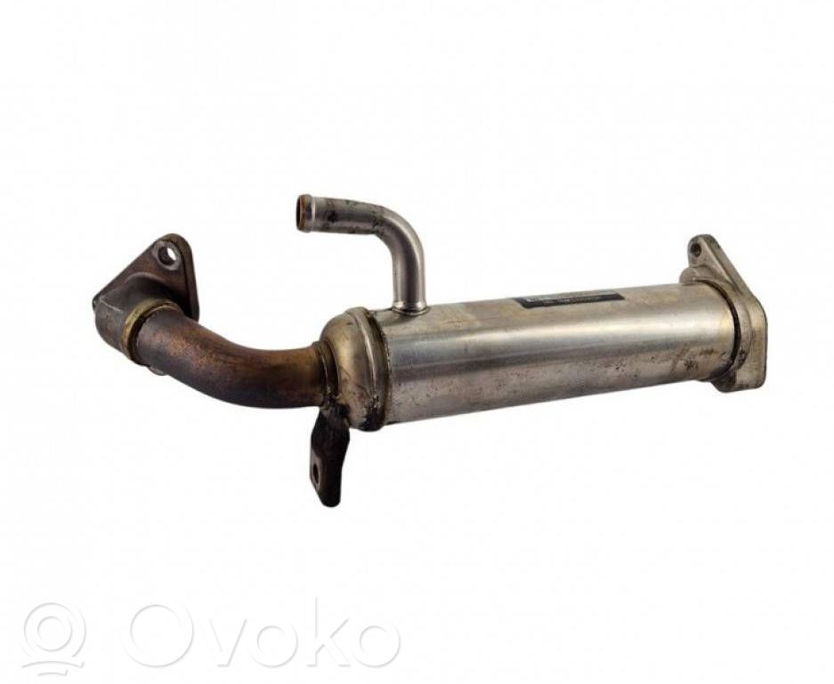 Nissan Patrol Y61 Conductă/furtun supapă EGR 