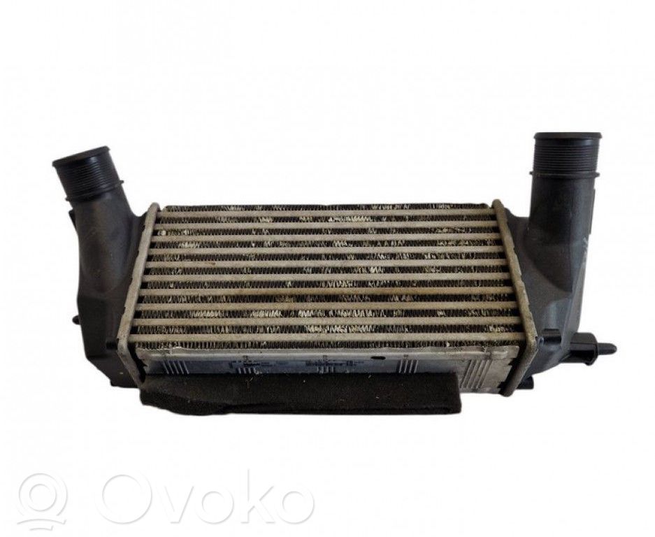 Ford B-MAX Starpdzesētāja radiators 