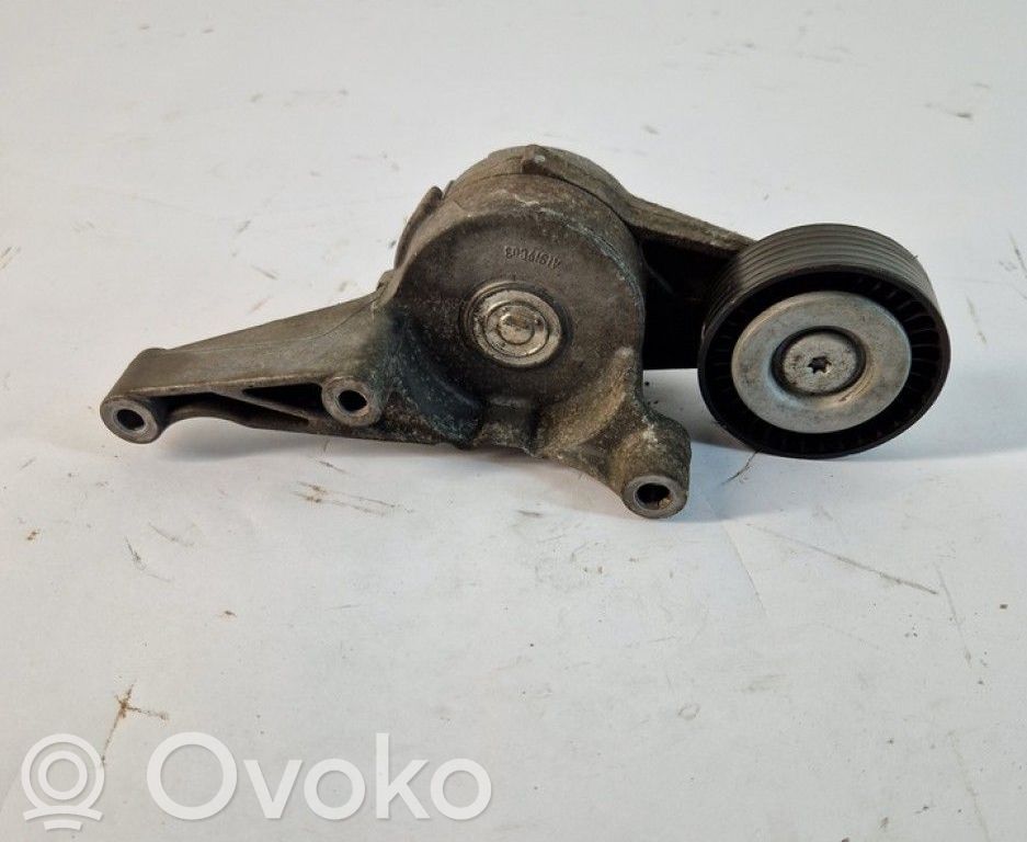 Seat Alhambra (Mk1) Tendicinghia dell’alternatore