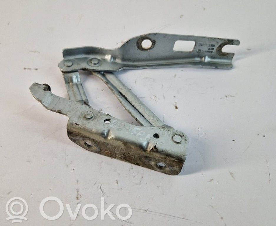 Volkswagen Eos Cerniere del vano motore/cofano