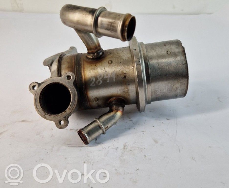 Volkswagen Caddy Răcitor supapă EGR 