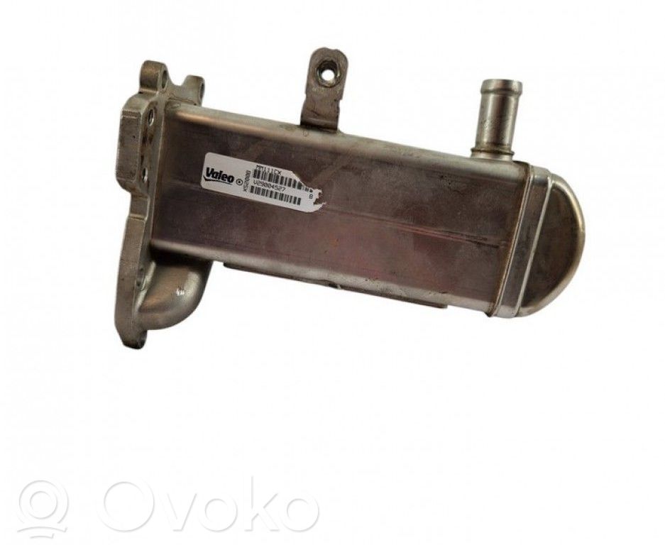 Suzuki Grand Vitara II Valvola di raffreddamento EGR