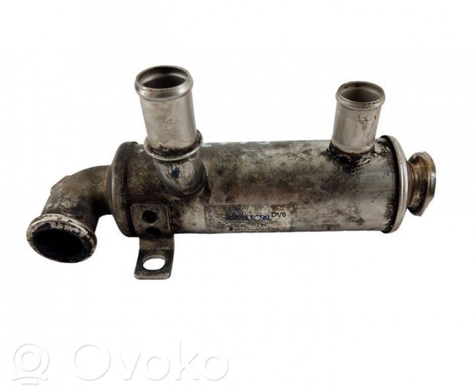 Citroen C5 Valvola di raffreddamento EGR