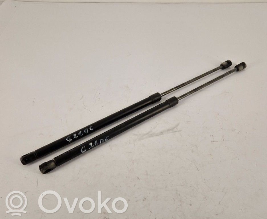 Opel Meriva A Amortiguador/puntal del maletero/compartimento de carga
