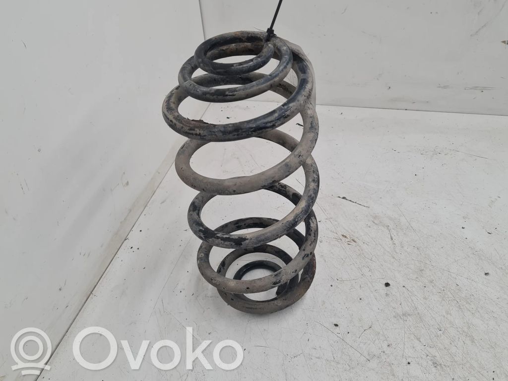 Rear coil spring