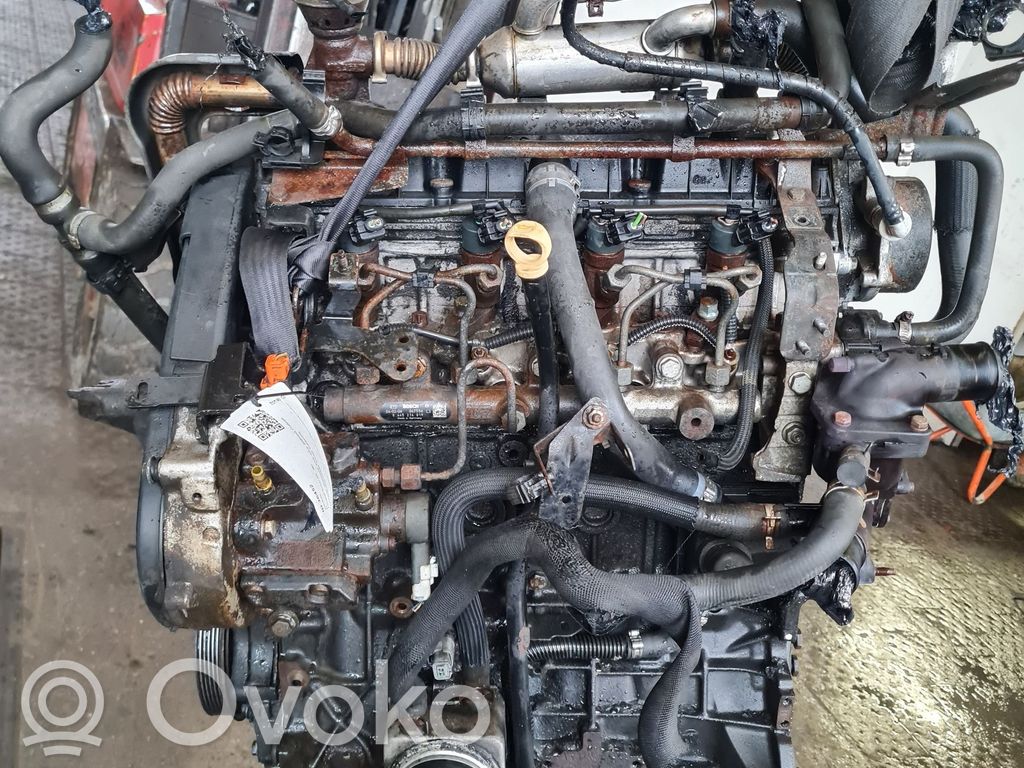 Motor