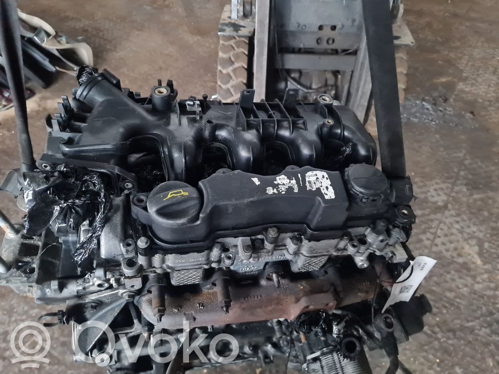 Variklis   7M5Q6010EA