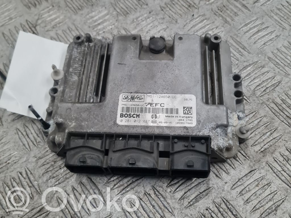 Ford C-MAX I Engine control unit/module 
