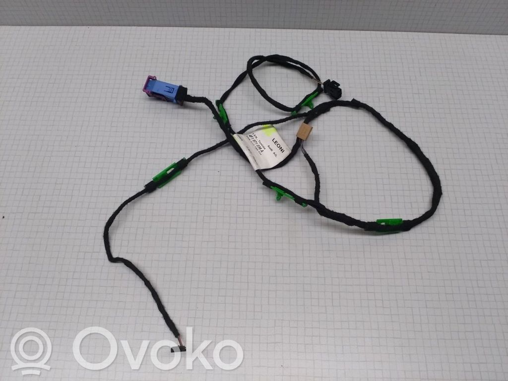 Audi A6 S6 C6 4F Cableado de puerta trasera 