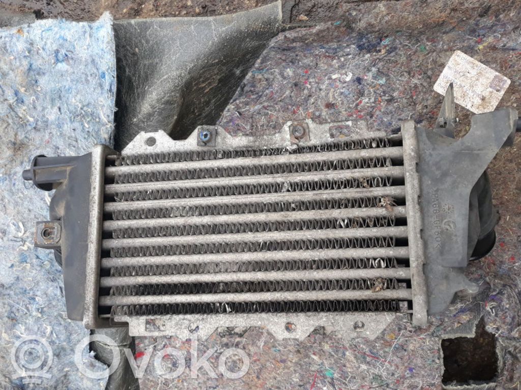 Intercooler radiator