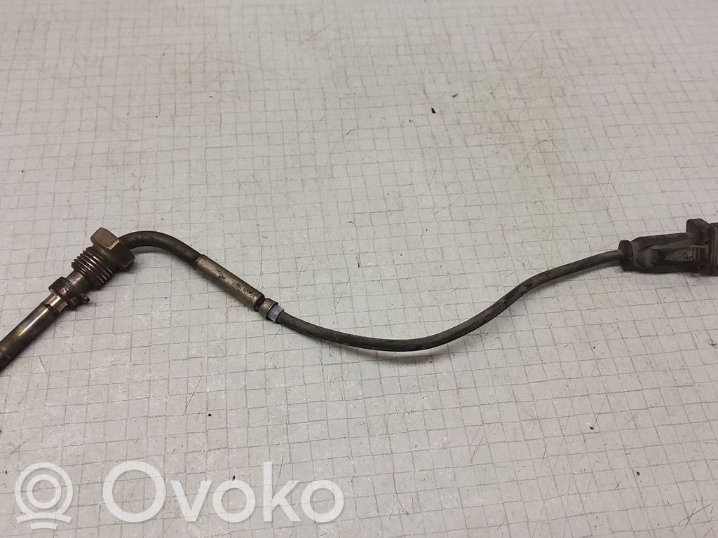 Fiat Bravo Exhaust gas temperature sensor 