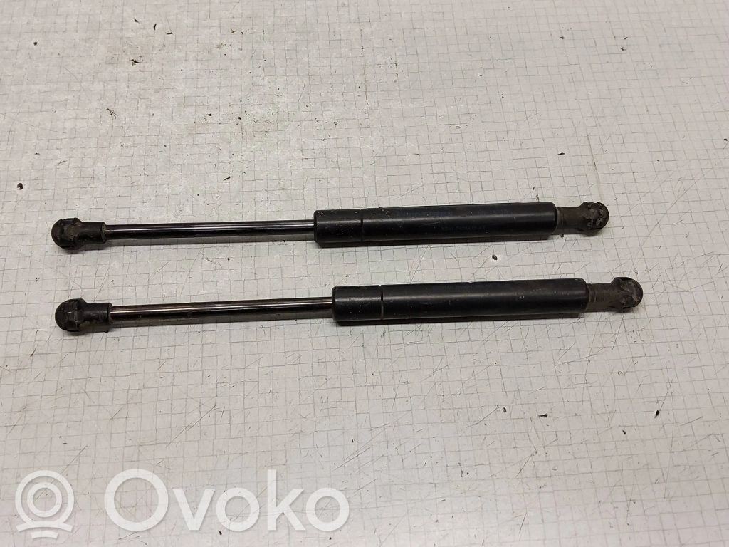 Ford Focus Tailgate/trunk strut/damper 