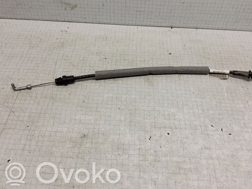 Trosīte   BK21V431C07