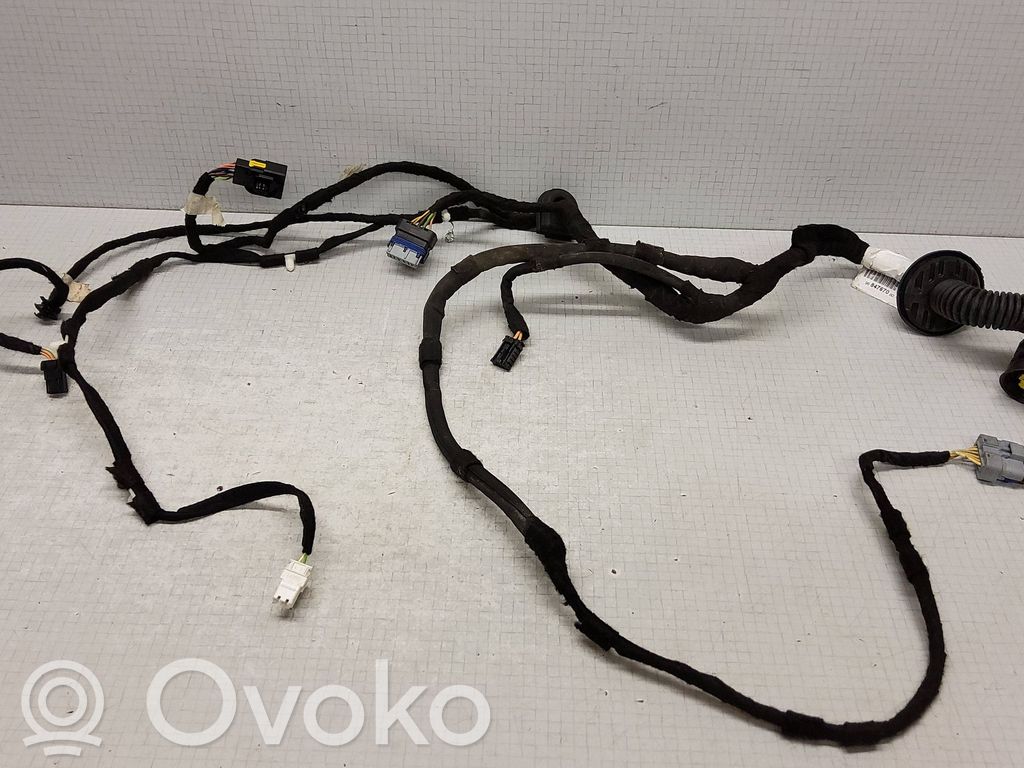 Citroen C5 Cableado de puerta delantera 