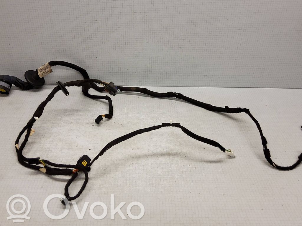 Cableado de puerta delantera   9672952680