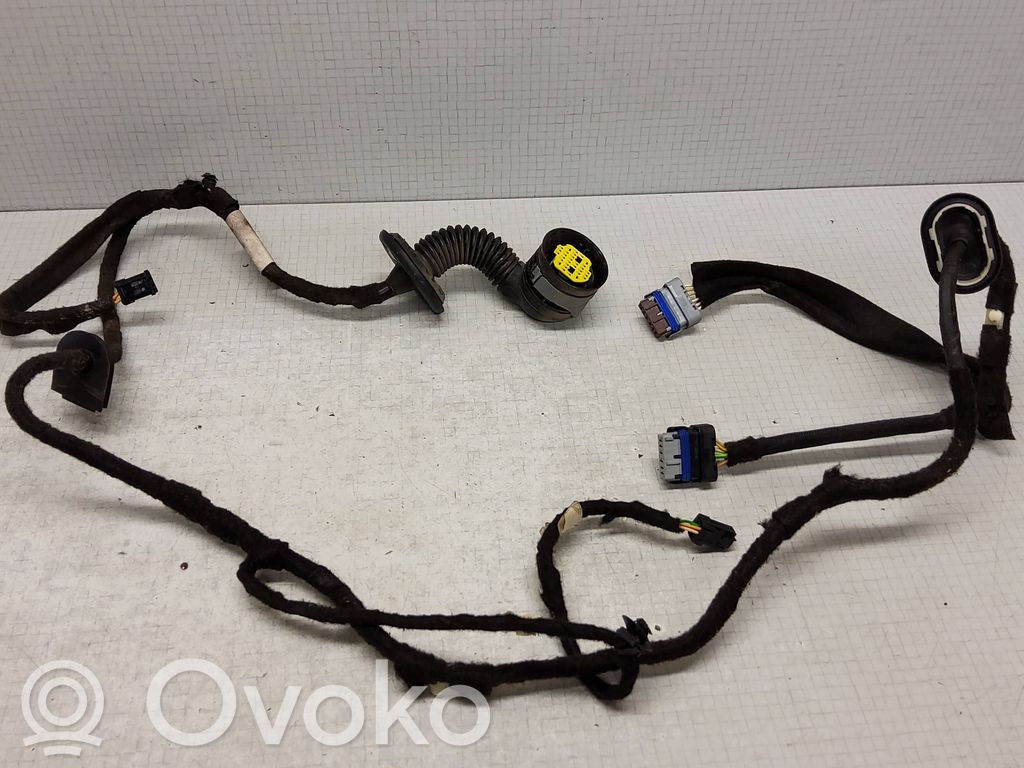 Cableado de puerta trasera   9672176180,9643128380,9647120080