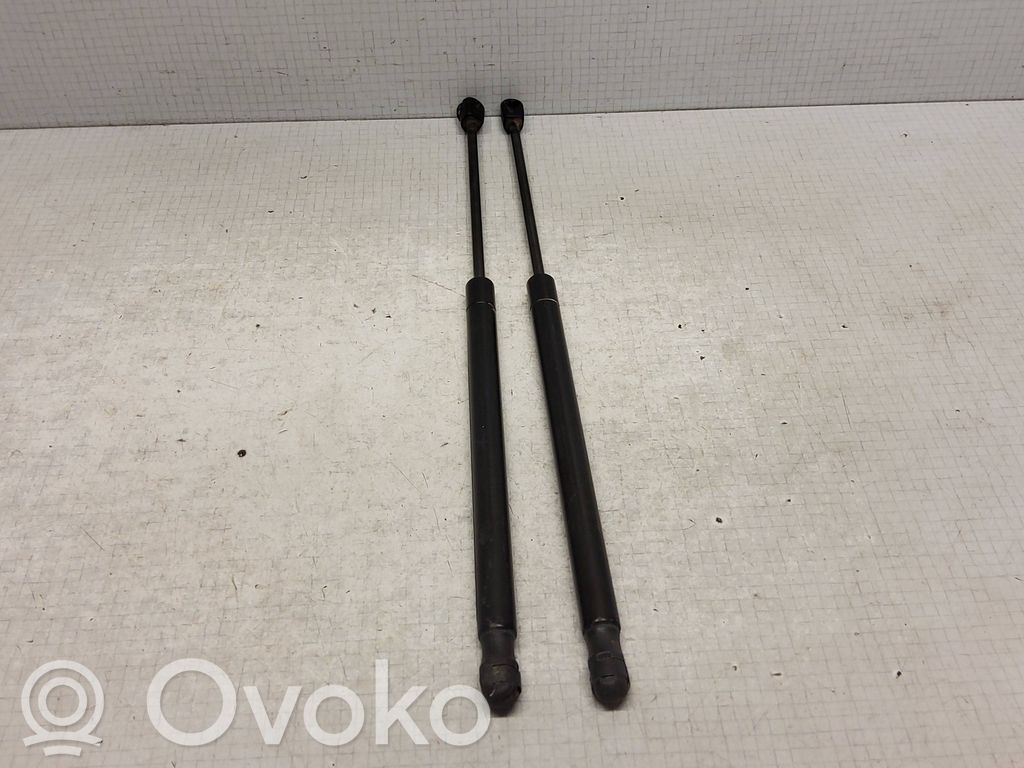 Dodge Caliber Tailgate/trunk strut/damper 