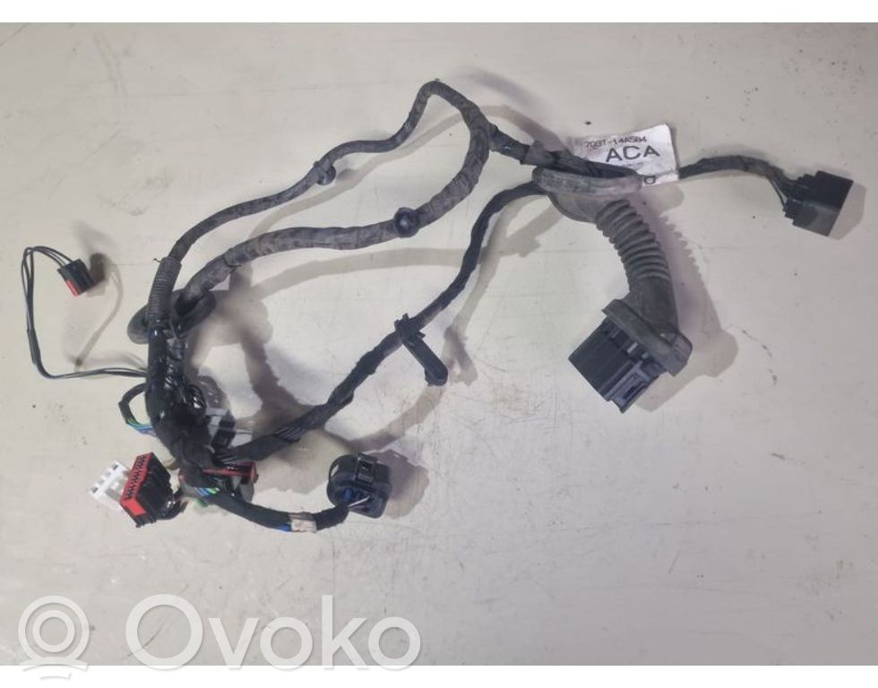 Ford S-MAX Cableado de puerta delantera 