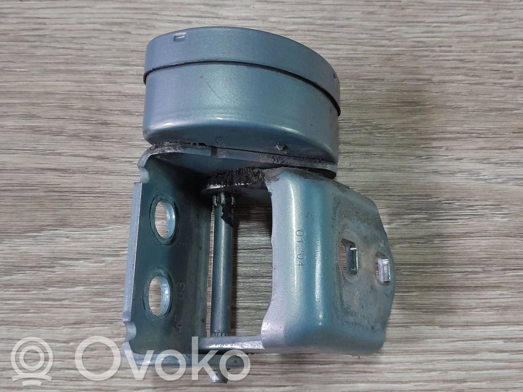 Renault Megane II Rear door lower hinge 