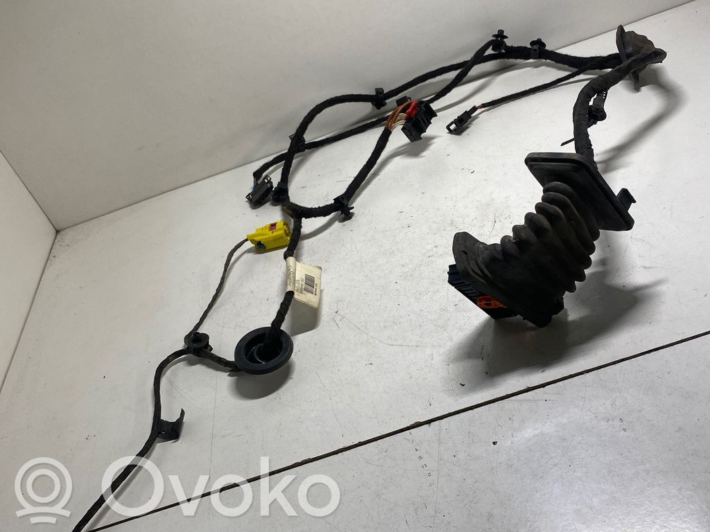 Volkswagen PASSAT B6 Cablaggio porta anteriore 