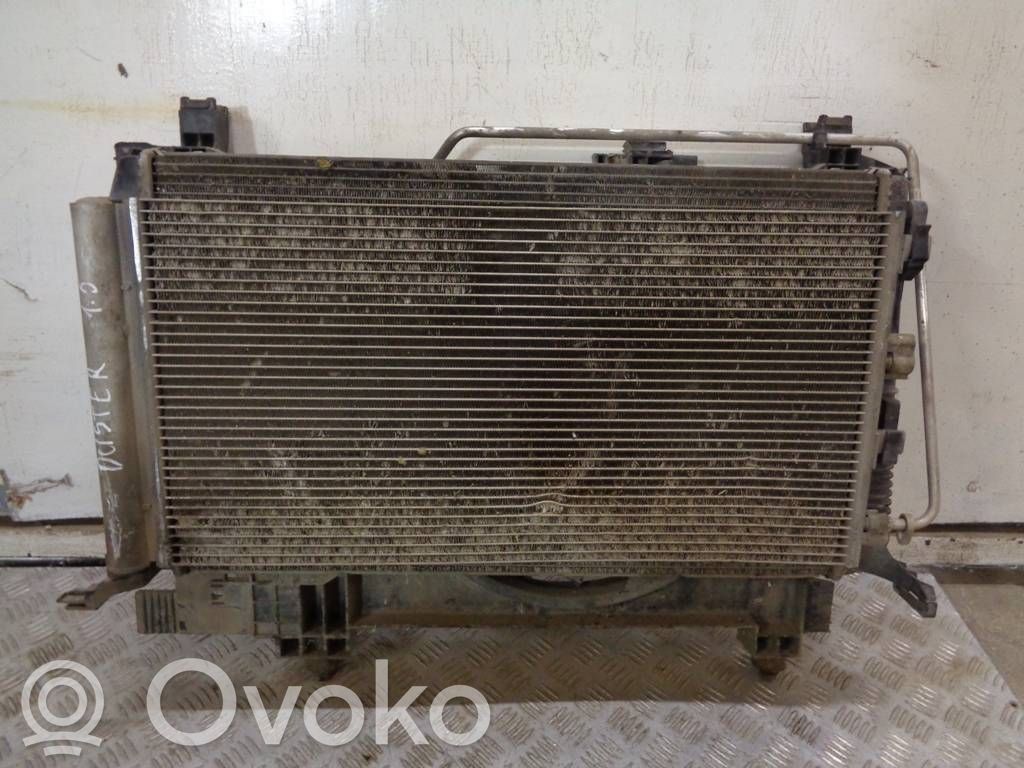Radiator set   8200880552,8200880550,921008028R,214819914R