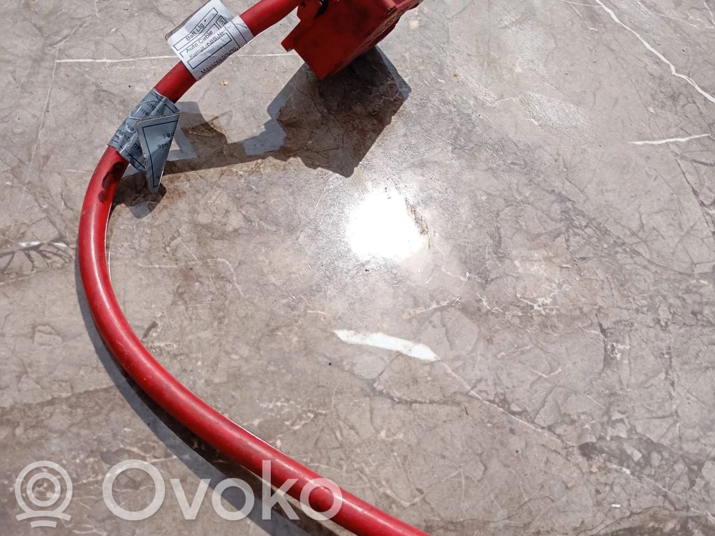 Plusa vads (akumulatora)   9203570