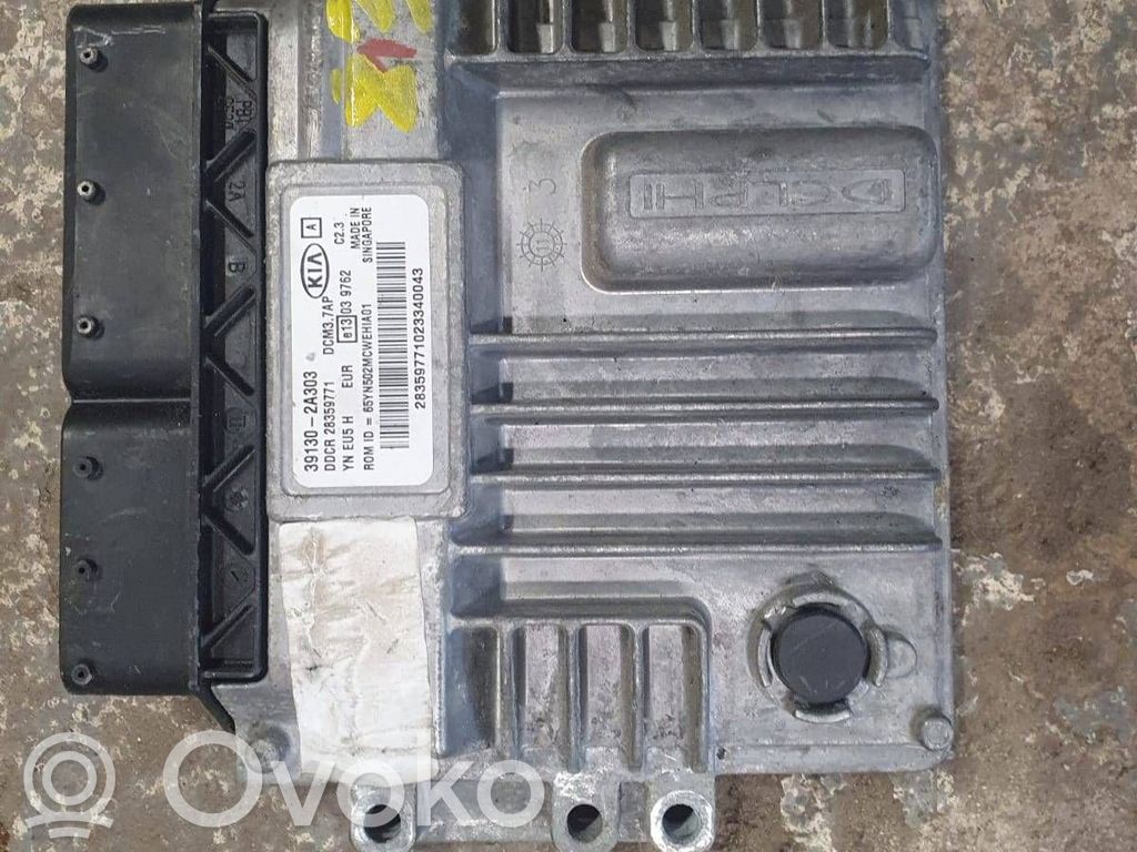 Engine control unit/module   391302A303