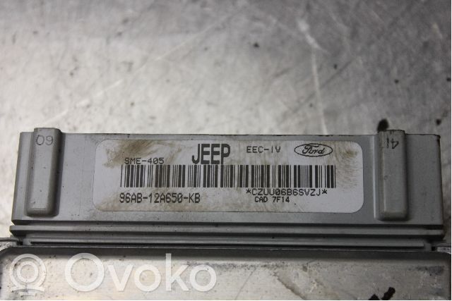 Ford Escort Injection control unit/module 